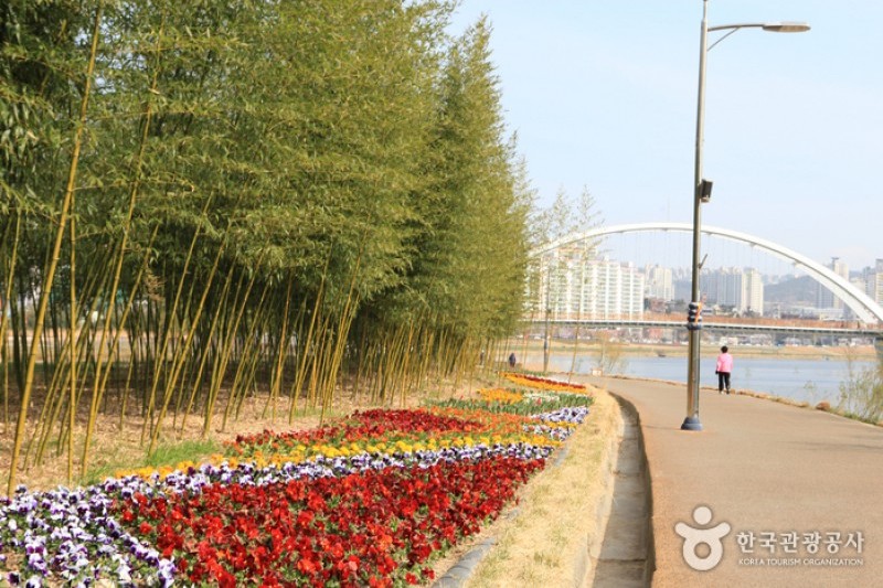 太和江大公園 (27/32)