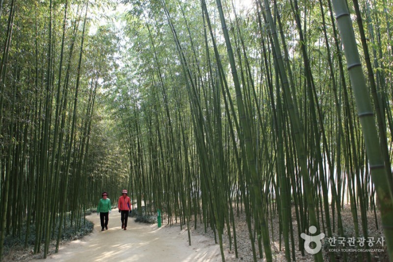 太和江大公園 (30/32)