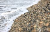 江東モンドル海辺
