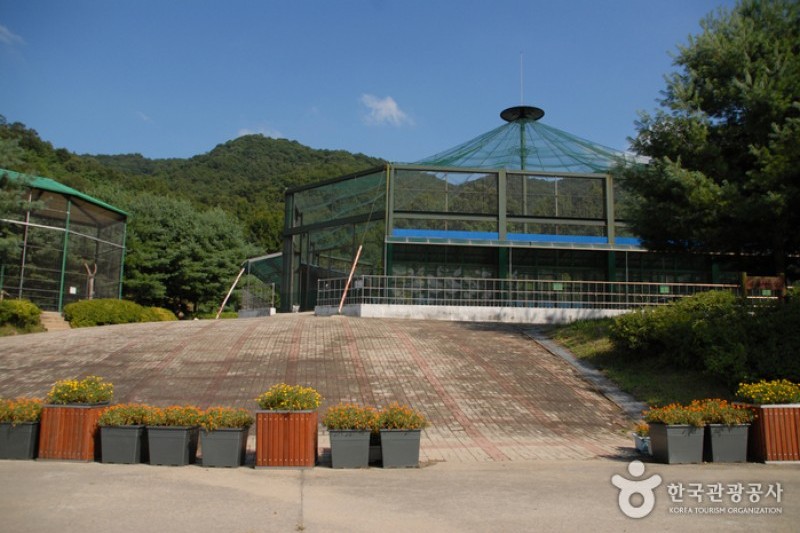 金剛自然休養林（金剛樹木園、山林博物館） (4/8)