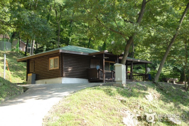 金剛自然休養林（金剛樹木園、山林博物館） (6/8)
