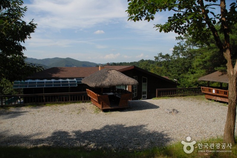 金剛自然休養林（金剛樹木園、山林博物館） (7/8)