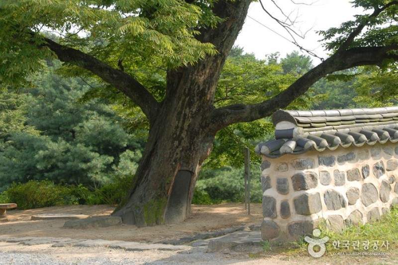 碑岩寺 (16/22)