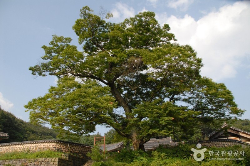 碑岩寺 (18/22)