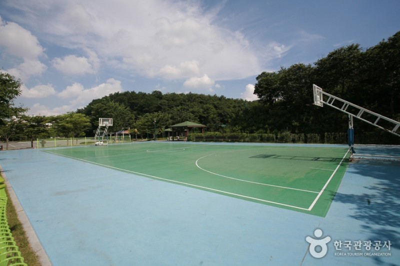 蔚山大公園 (2/6)