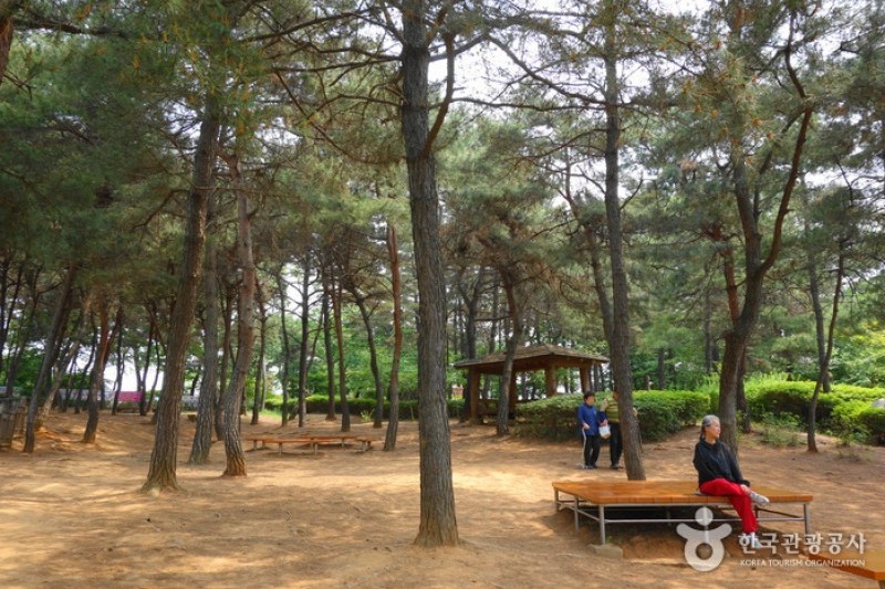 高福自然公園 (7/21)