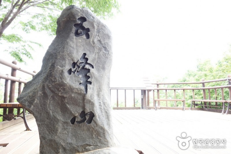高福自然公園 (14/21)