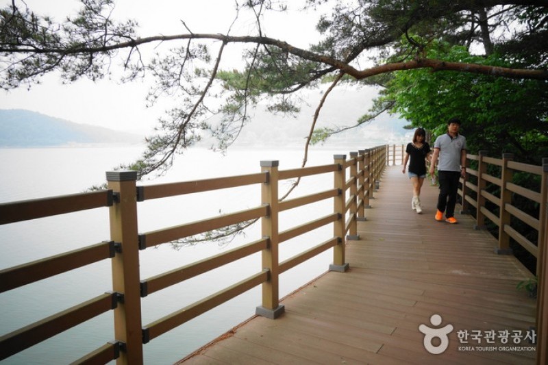 高福自然公園 (16/21)