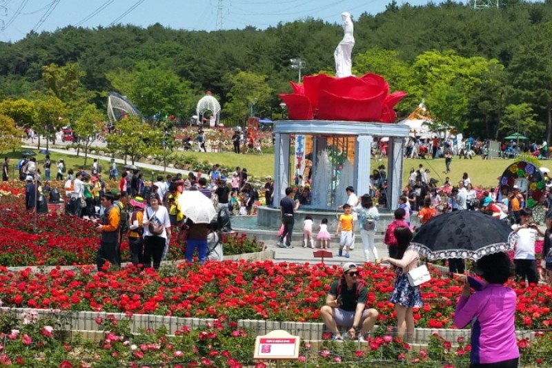 蔚山大公園薔薇祭り (1/5)