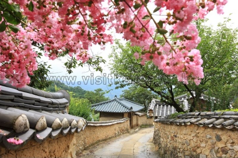 星州ハンゲ村（성주 한개마을） (1/22)