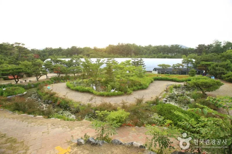 蔚山テーマ植物樹木園 (1/31)