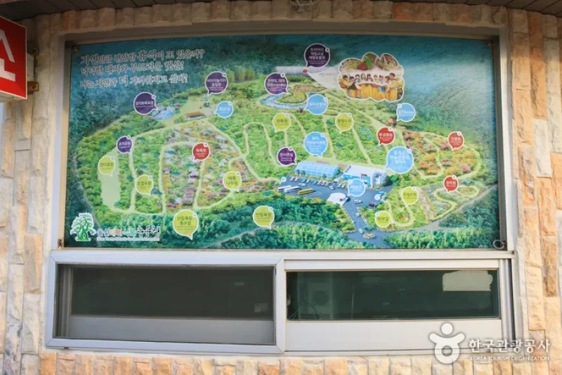 蔚山テーマ植物樹木園 (5/31)