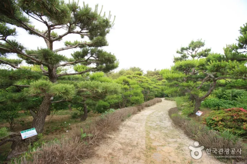蔚山テーマ植物樹木園 (8/31)