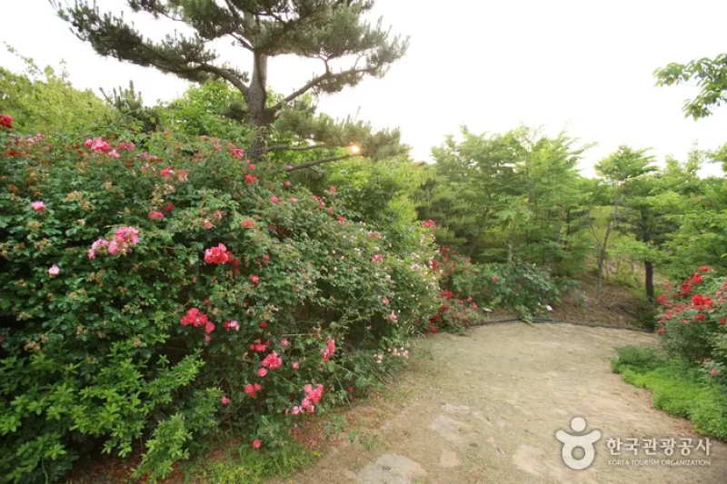 蔚山テーマ植物樹木園 (12/31)