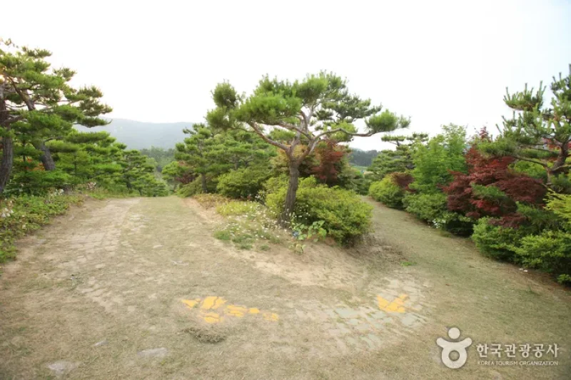 蔚山テーマ植物樹木園 (15/31)