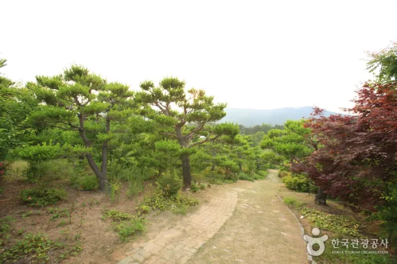 蔚山テーマ植物樹木園 (16/31)