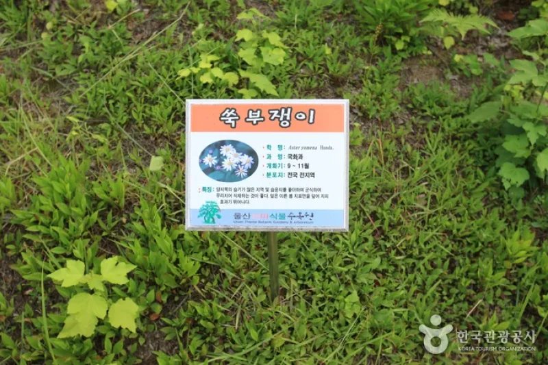 蔚山テーマ植物樹木園 (17/31)