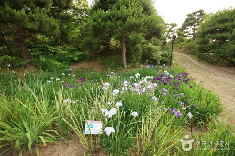 蔚山テーマ植物樹木園 (18/31)