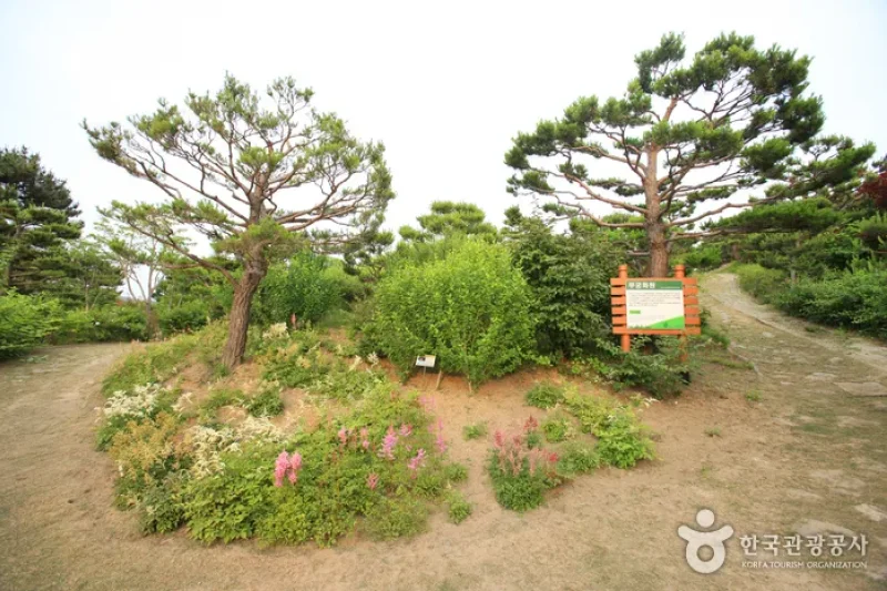 蔚山テーマ植物樹木園 (19/31)