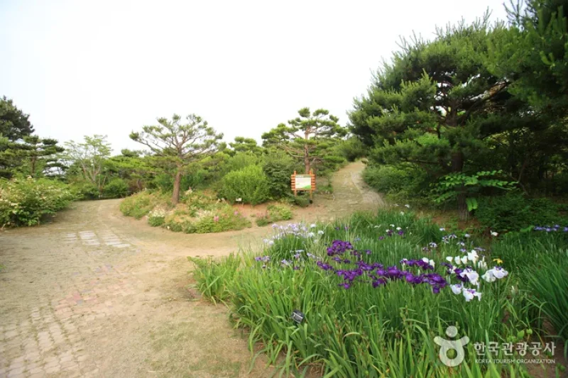 蔚山テーマ植物樹木園 (20/31)