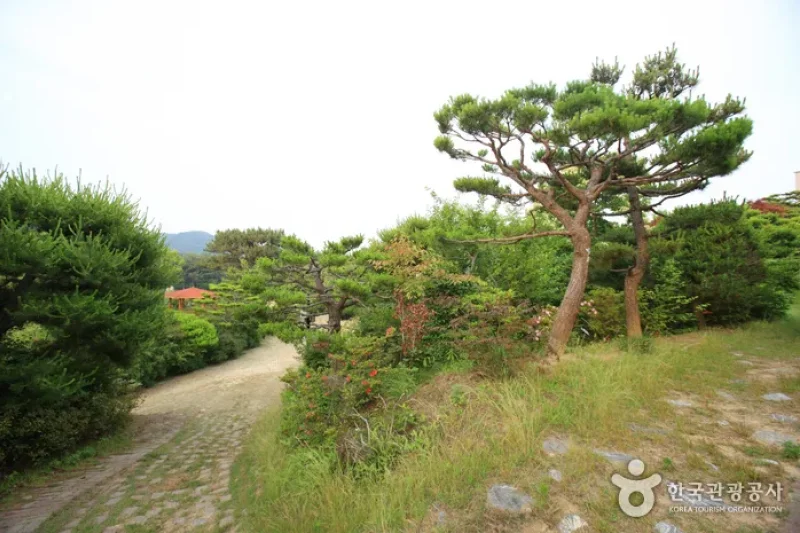 蔚山テーマ植物樹木園 (21/31)