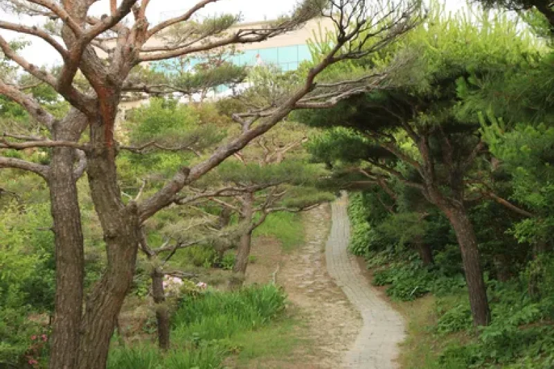蔚山テーマ植物樹木園 (22/31)