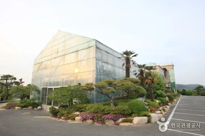蔚山テーマ植物樹木園 (26/31)