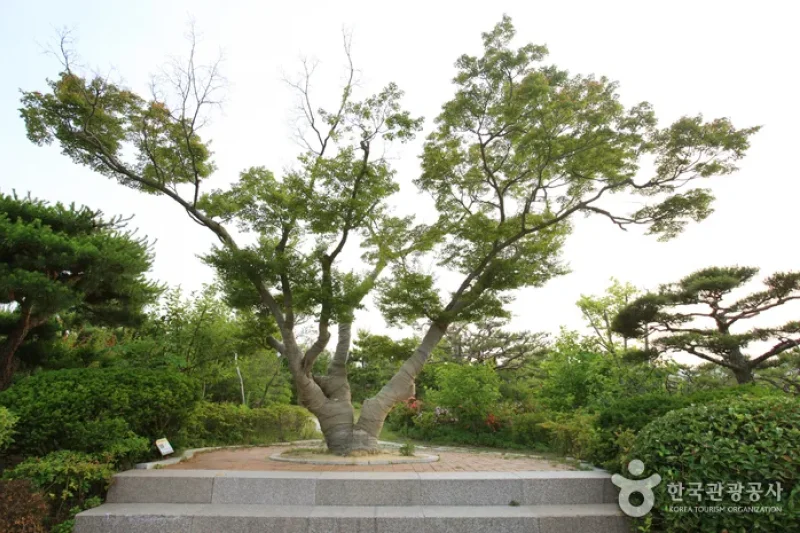 蔚山テーマ植物樹木園 (27/31)