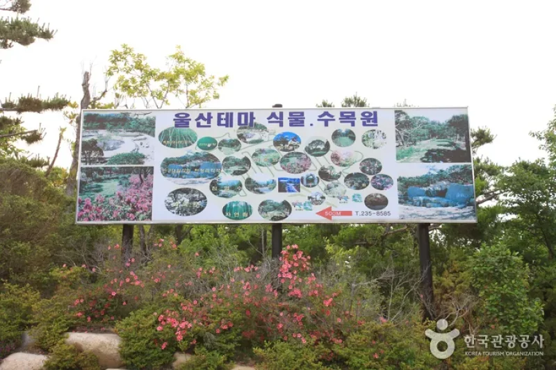 蔚山テーマ植物樹木園 (29/31)
