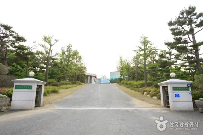 蔚山テーマ植物樹木園 (30/31)