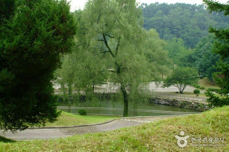 栗谷先生遺跡地 (21/25)