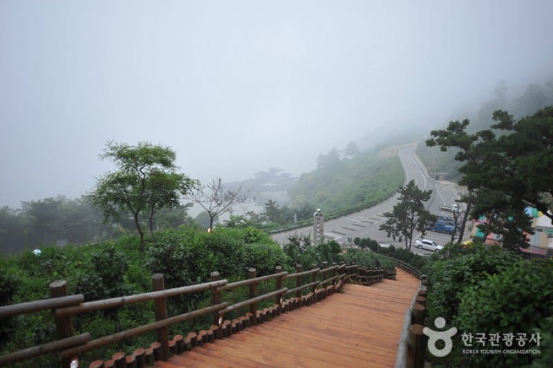 白岫海岸道路 (5/24)