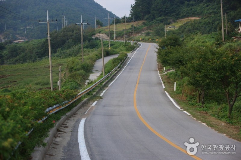 白岫海岸道路 (16/24)