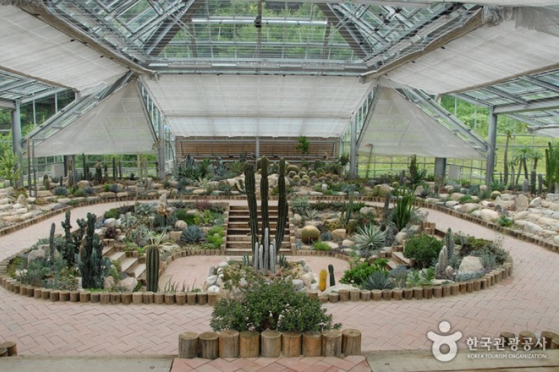 楊口生態植物園 (2/4)