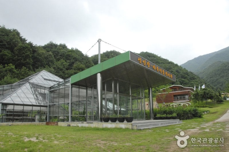 楊口生態植物園 (4/4)