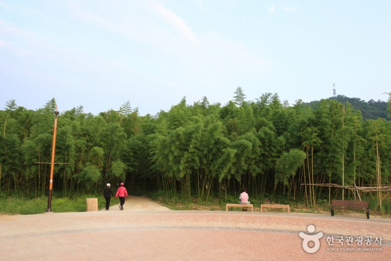 太和江大公園 (32/32)