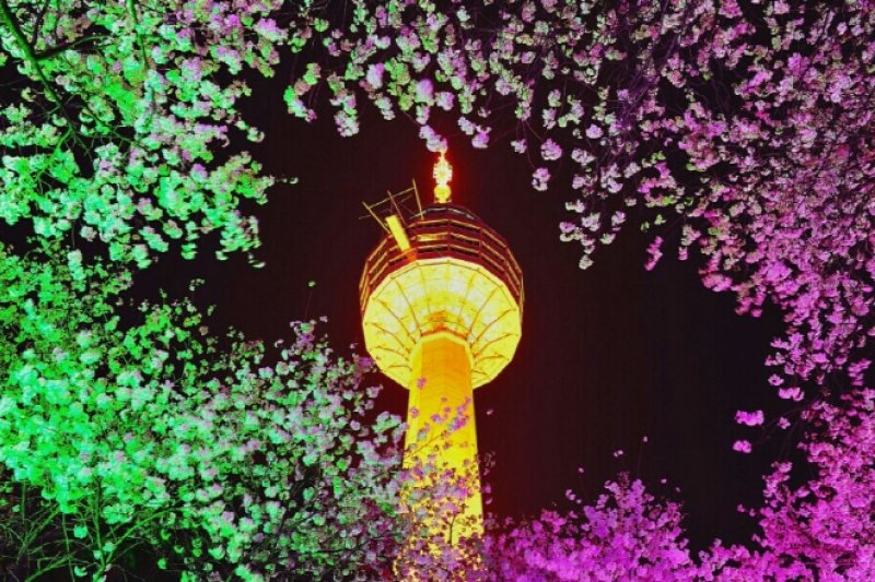 E-WORLDピョルピッ桜祭り (1/36)