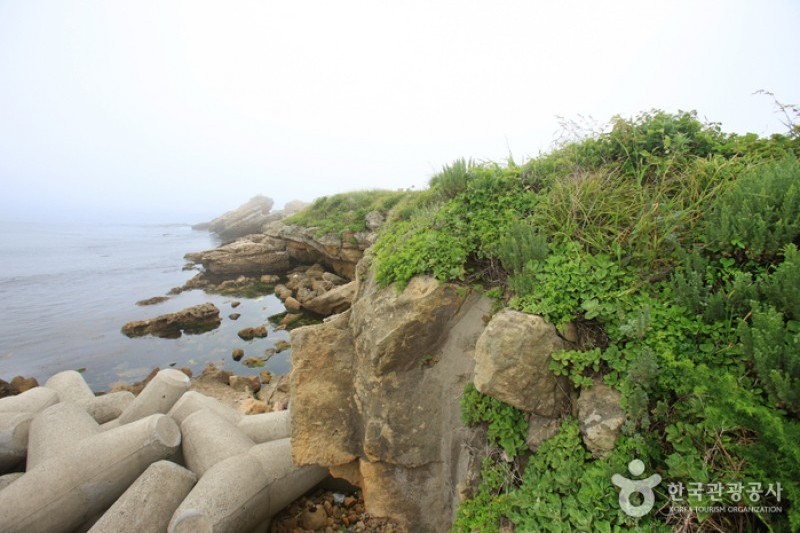 瑟島 (5/72)