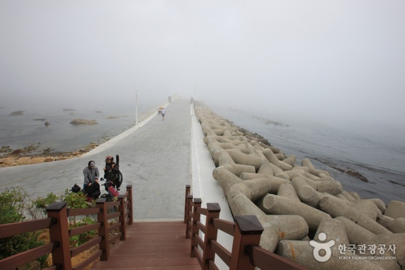 瑟島 (6/72)