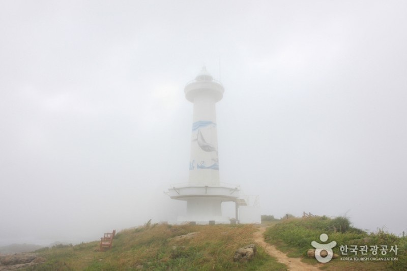 瑟島 (21/72)