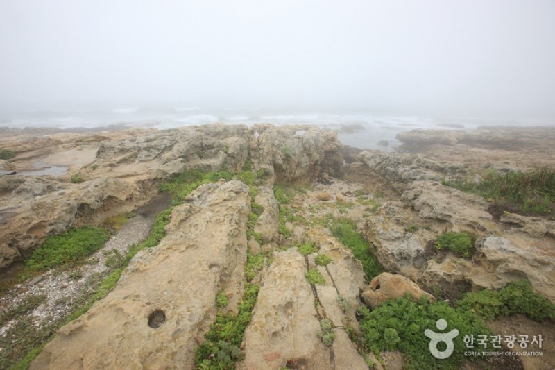 瑟島 (23/72)