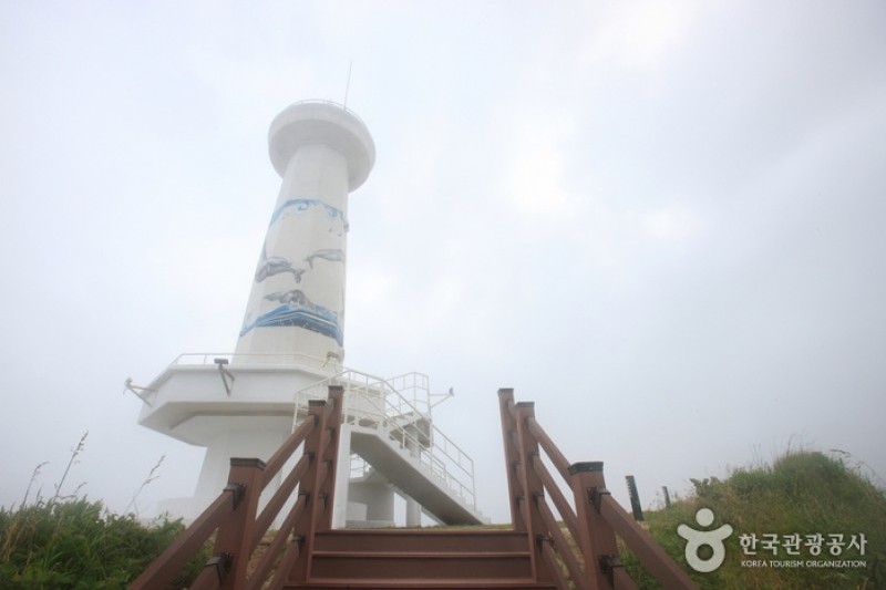 瑟島 (27/72)