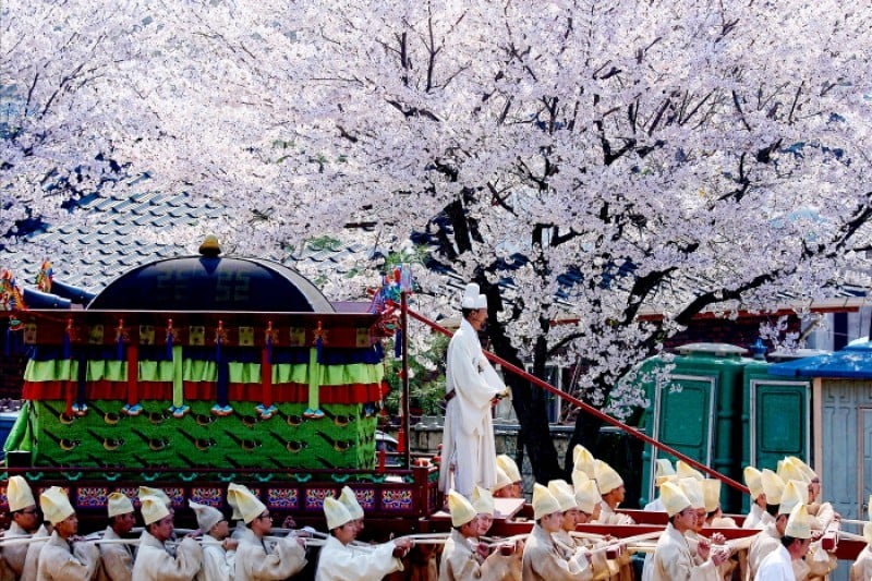 端宗文化祭 (15/18)