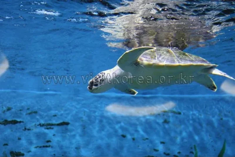 長生浦クジラ生態体験館 (3/9)
