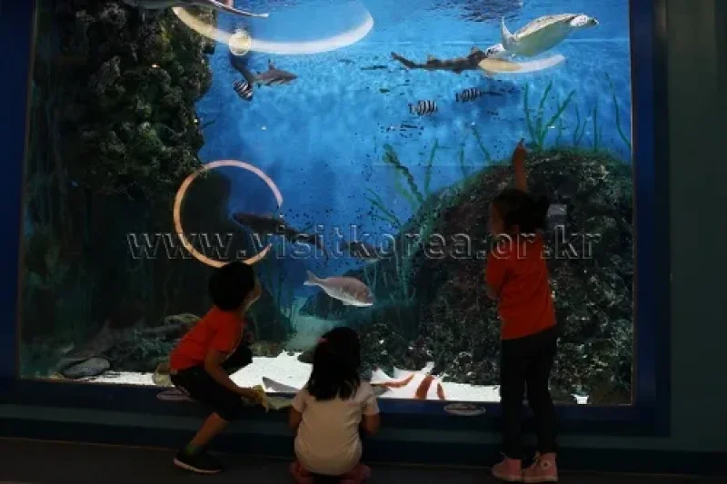 長生浦クジラ生態体験館 (4/9)