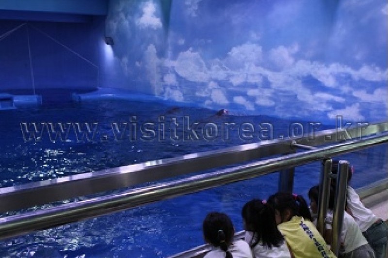 長生浦クジラ生態体験館 (8/9)