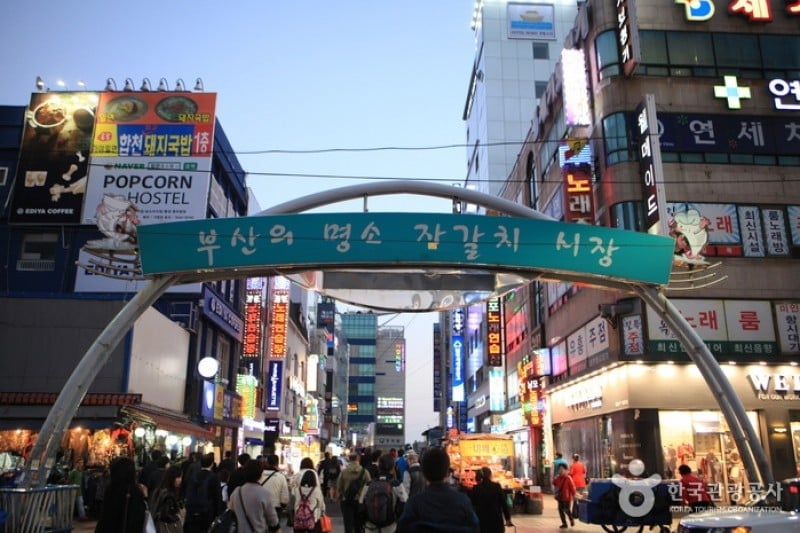 釜山 チャガルチ市場（부산 자갈치시장） (14/17)