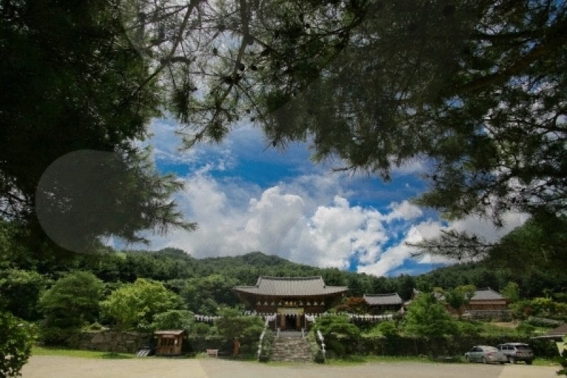白蓮寺（加平）（백련사（가평）） (1/15)