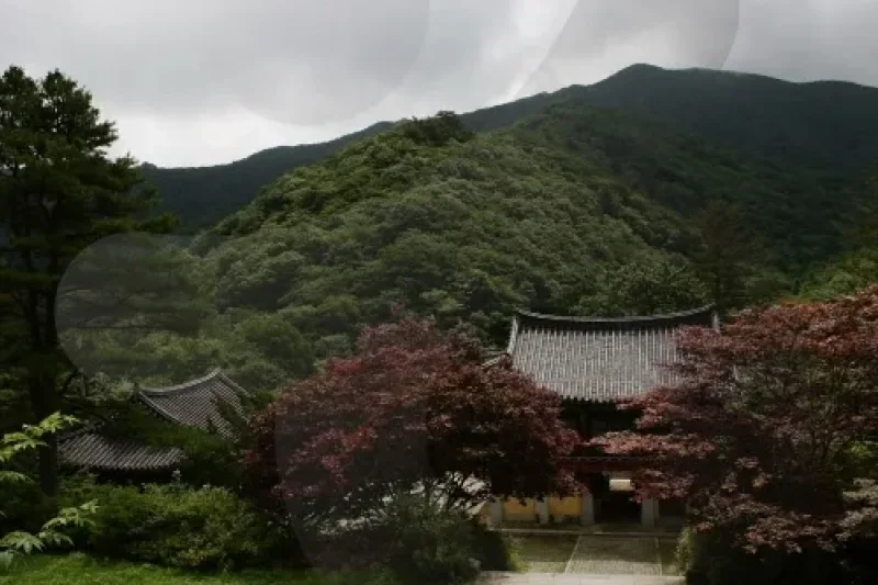 白蓮寺（加平）（백련사（가평）） (6/15)