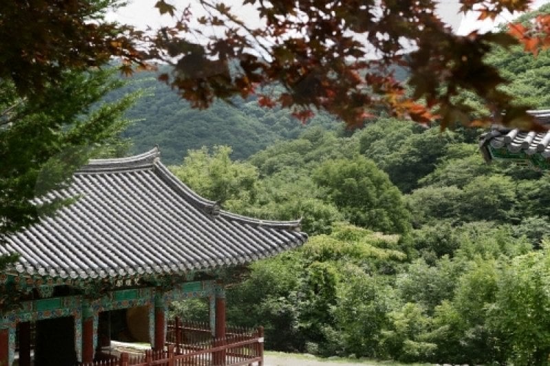 白蓮寺（加平）（백련사（가평）） (7/15)
